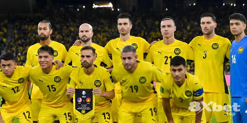 PCT Livescore - dính vào cá độ bóng đá PCT Livescore - dính vào cá độ bóng đá