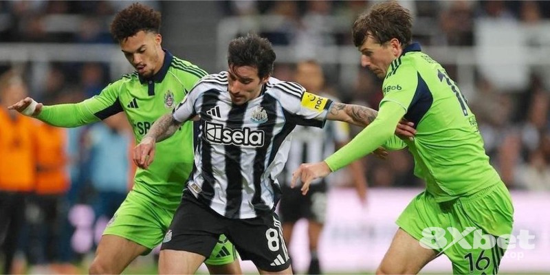 PCT Livescore - lucky88 hay kubet PCT Livescore - lucky88 hay kubet