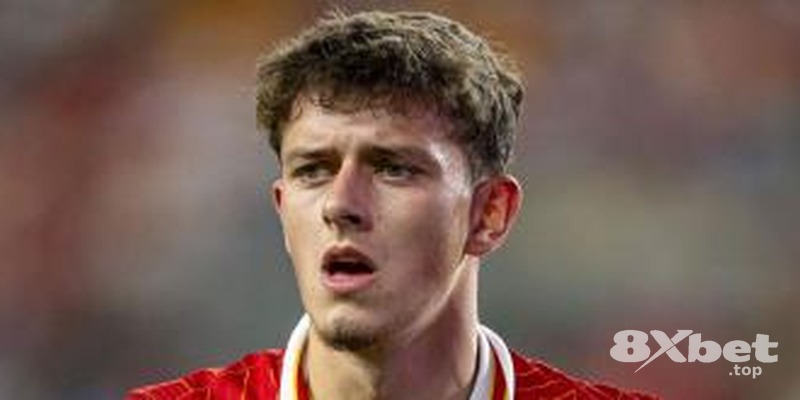 PCT Livescore - link vào m88